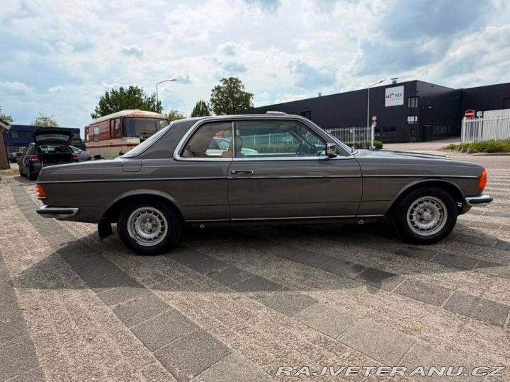 Mercedes-Benz 280 W123 1977