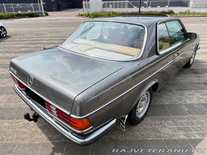 Mercedes-Benz 280 W123 1977