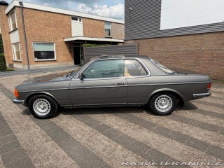 Mercedes-Benz 280 W123 1977