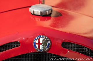 Alfa Romeo 6C - TRIBUTO SPORT 1931