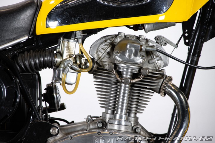 Ducati 350 SCRAMBLER 350 1971