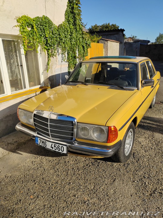Mercedes-Benz 240 W123 1980
