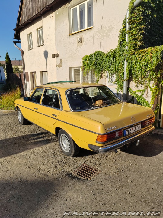 Mercedes-Benz 240 W123 1980