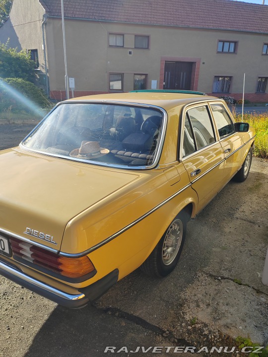Mercedes-Benz 240 W123 1980