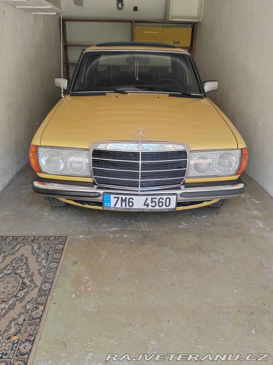 Mercedes-Benz 240 W123 1980