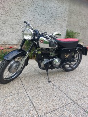 Norton  