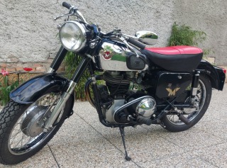 Norton  