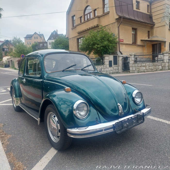 Volkswagen Brouk 