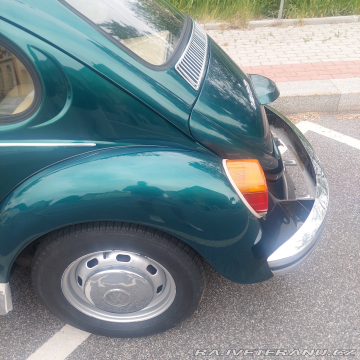 Volkswagen Brouk  1974