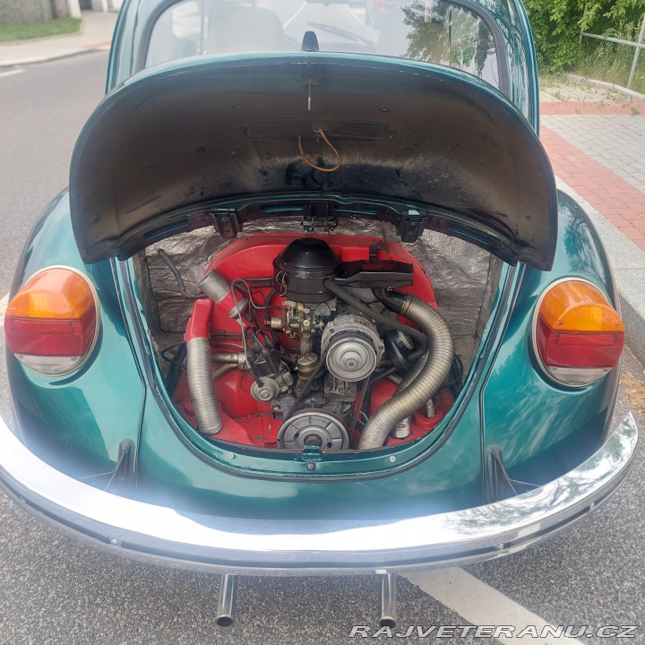 Volkswagen Brouk  1974
