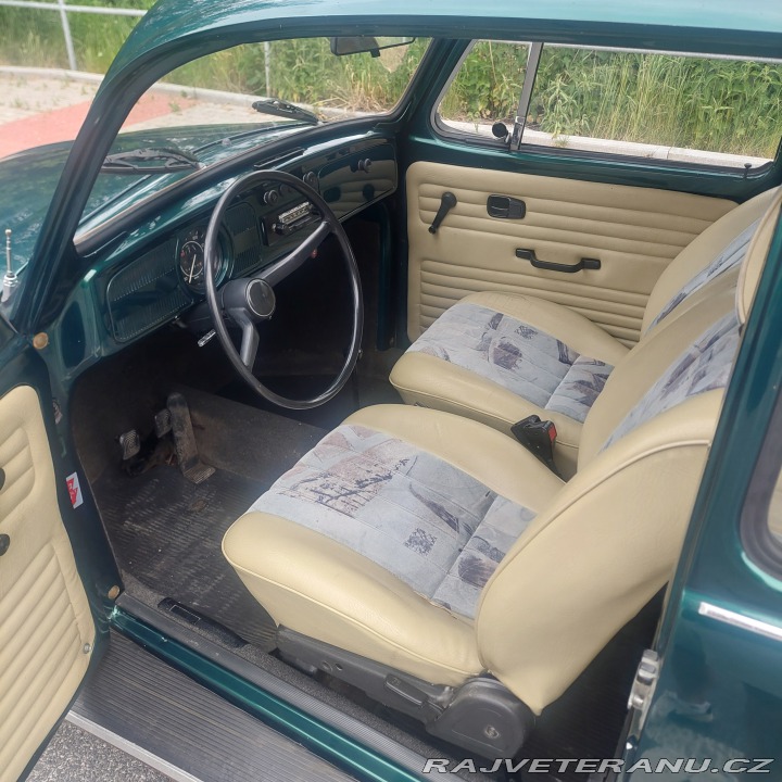 Volkswagen Brouk  1974