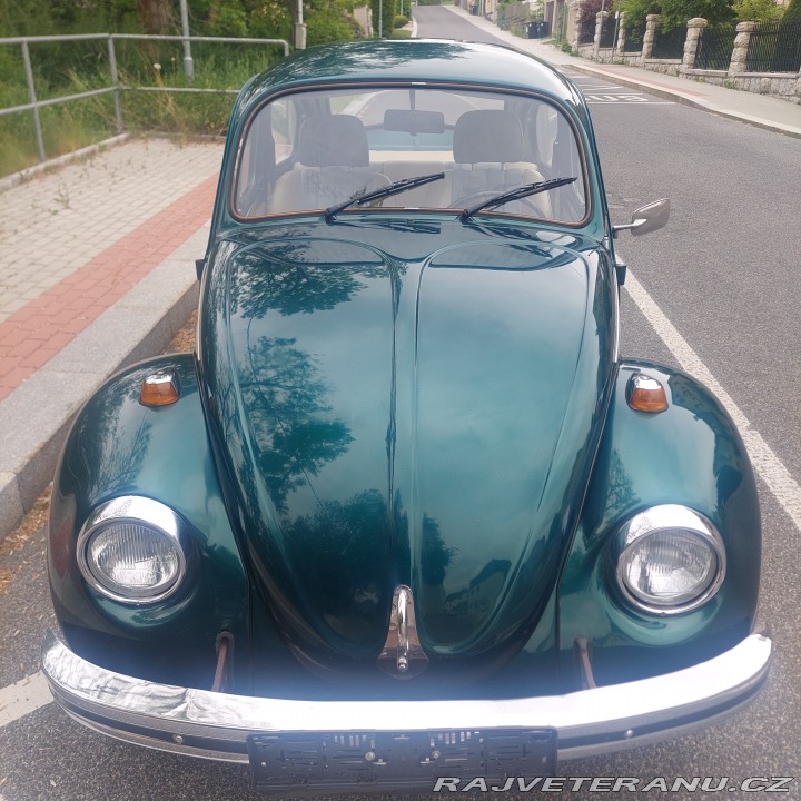 Volkswagen Brouk 1974