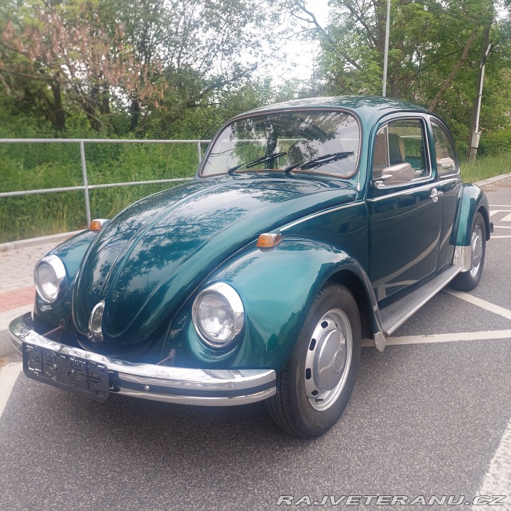 Volkswagen Brouk 1974