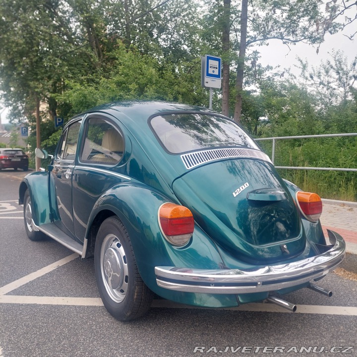 Volkswagen Brouk  1974