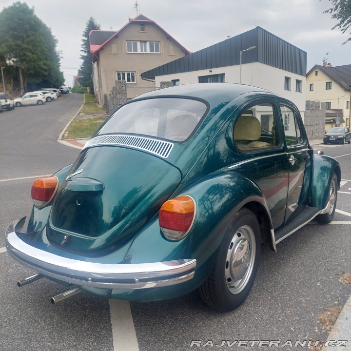 Volkswagen Brouk  1974