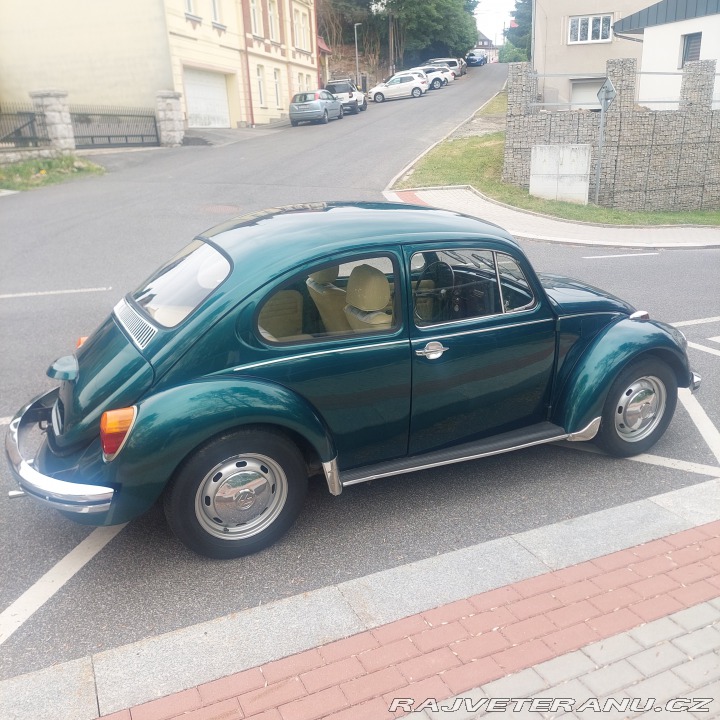 Volkswagen Brouk  1974