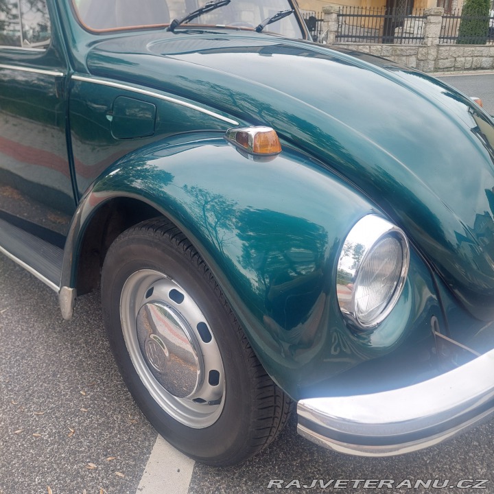 Volkswagen Brouk  1974