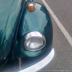 Volkswagen Brouk 1974