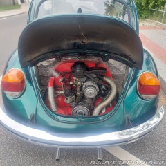 Volkswagen Brouk 1974