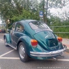 Volkswagen Brouk 1974