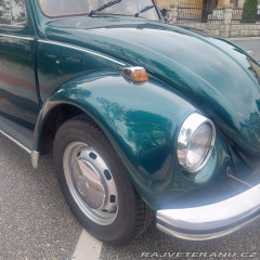 Volkswagen Brouk 1974