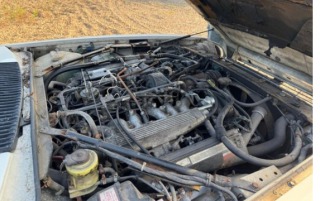 Jaguar XJS (2) 1986