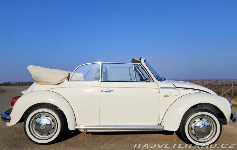 Volkswagen Brouk