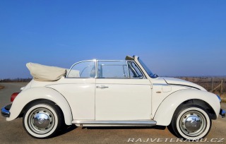 Volkswagen Brouk 