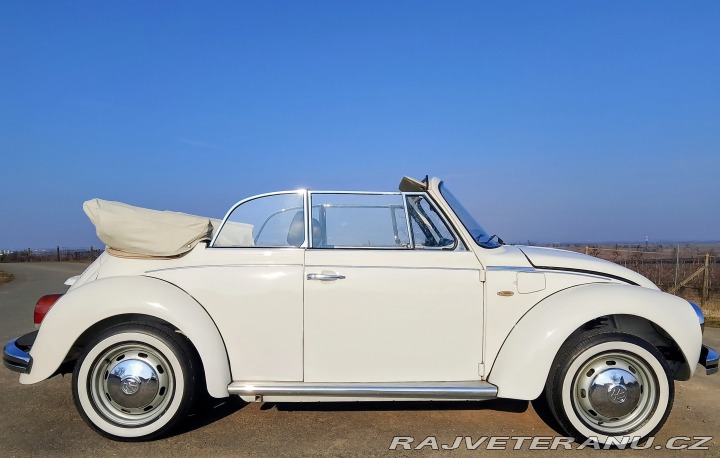 Volkswagen Brouk  1975