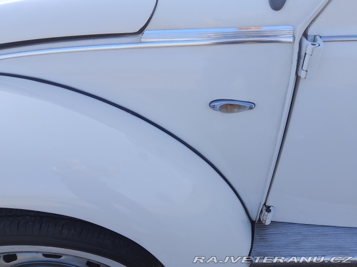 Volkswagen Brouk  1975