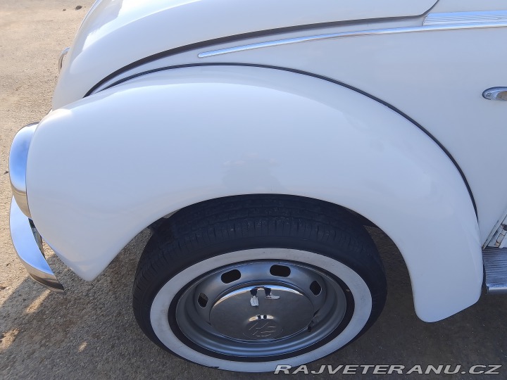 Volkswagen Brouk  1975