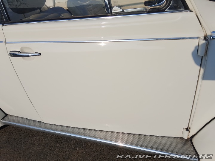 Volkswagen Brouk  1975