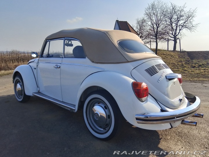 Volkswagen Brouk  1975