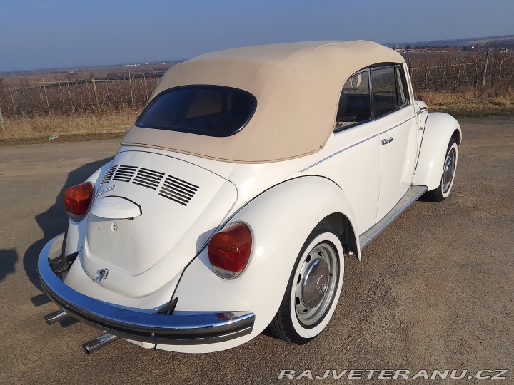 Volkswagen Brouk  1975