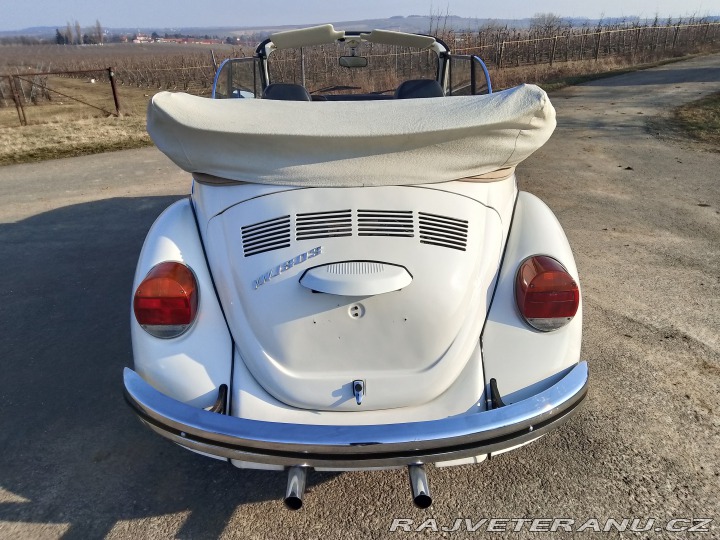 Volkswagen Brouk 1975