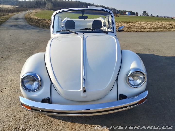 Volkswagen Brouk  1975