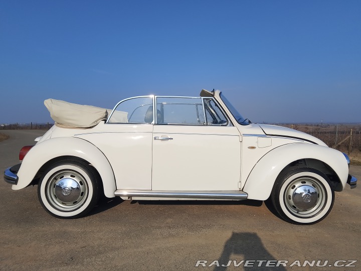 Volkswagen Brouk  1975