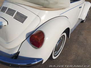 Volkswagen Brouk  1975