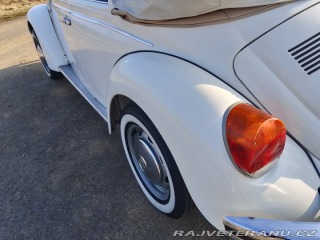 Volkswagen Brouk  1975