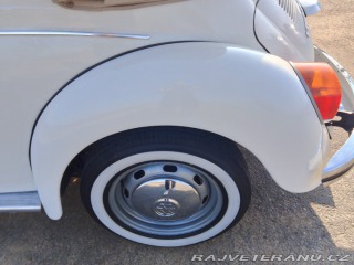 Volkswagen Brouk  1975