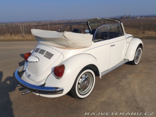Volkswagen Brouk  1975