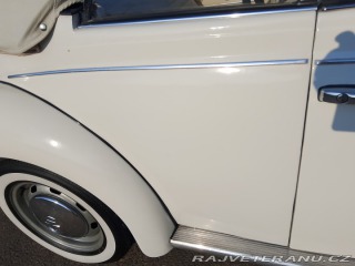 Volkswagen Brouk  1975