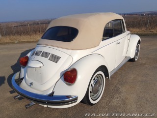 Volkswagen Brouk  1975