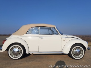 Volkswagen Brouk  1975