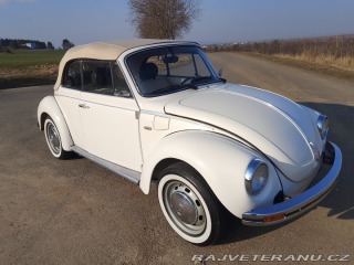 Volkswagen Brouk  1975
