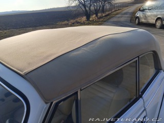 Volkswagen Brouk  1975