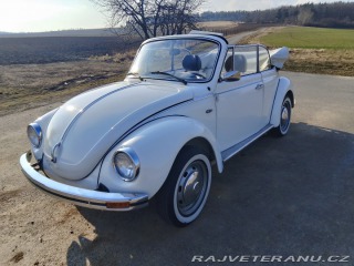 Volkswagen Brouk  1975
