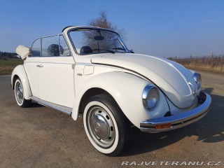 Volkswagen Brouk  1975
