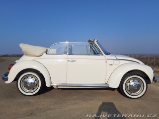 Volkswagen Brouk  1975