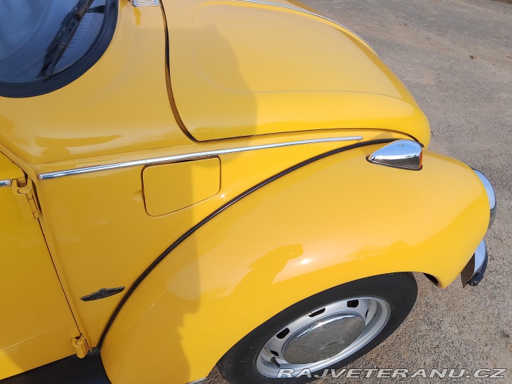 Volkswagen Brouk 1973